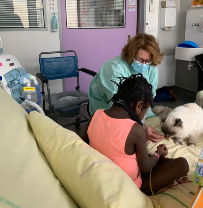 un chat à l'hôpital Necker de Paris , association Magie à l'hôpital 