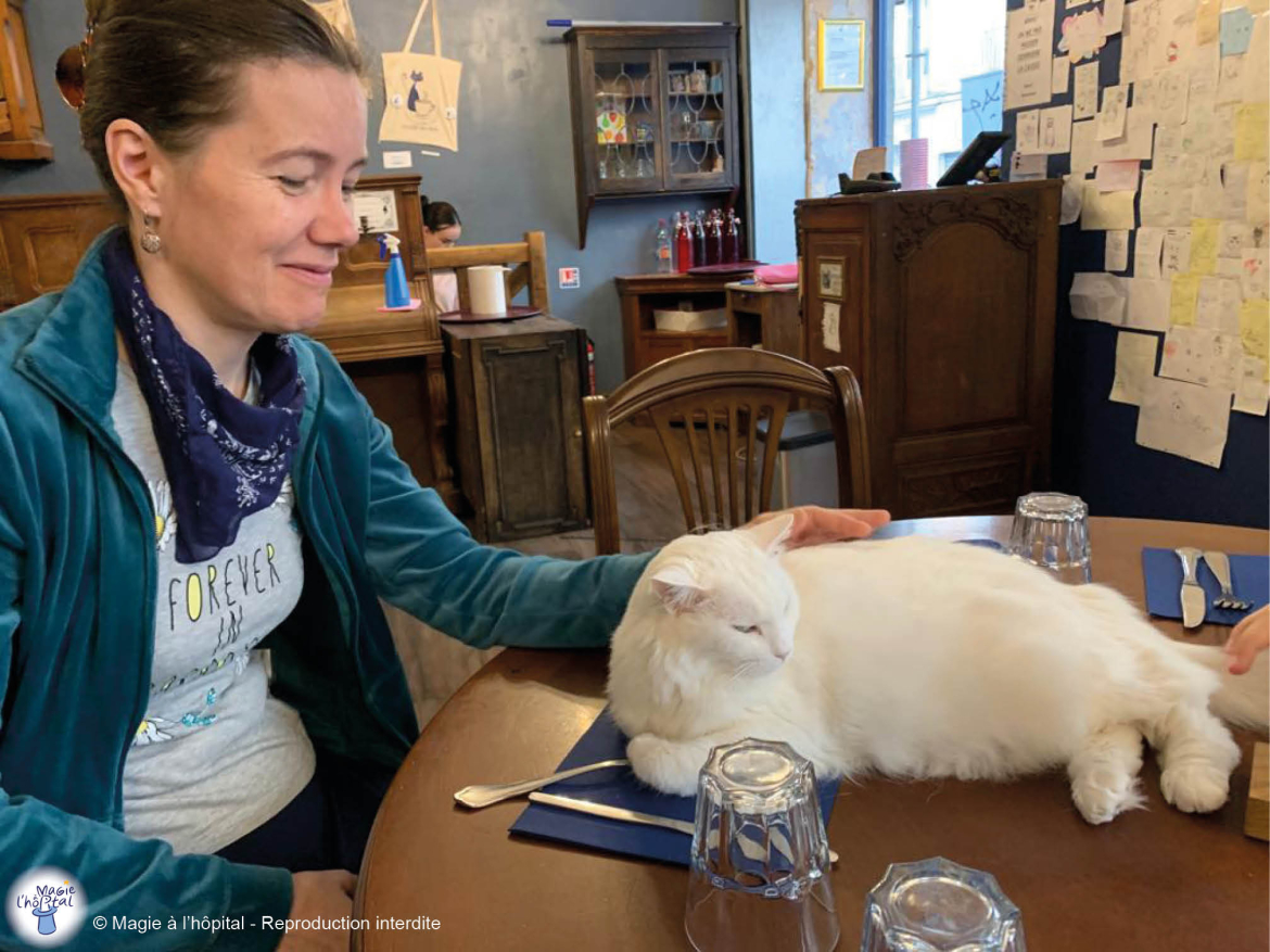 Un déjeuner dans un café aux chats, association Magie à l'hôpital